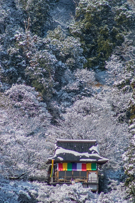雪景色～嵐山界隈_e0363038_09010853.jpg