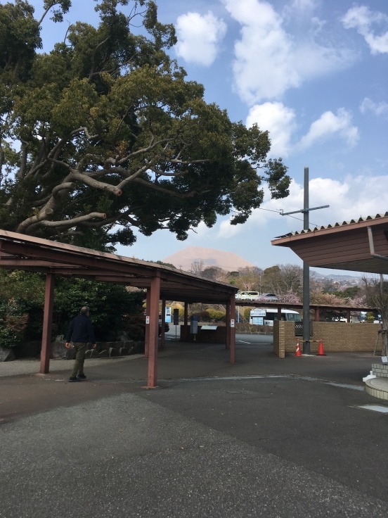 春の女子旅_d0386342_15335597.jpg