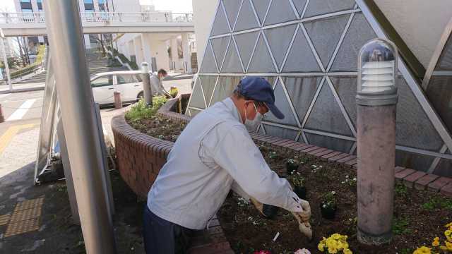 ガーデンふ頭総合案内所前花壇の植替えR4.3.14_d0338682_15582360.jpg