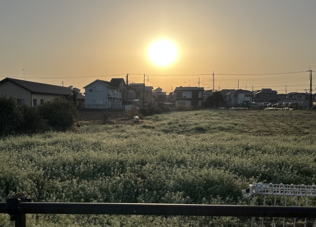 バトンタッチかな?_e0414786_22481477.jpeg