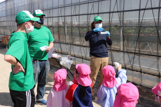 いちご狩り遠足　Strawberry Picking!_a0115391_15433528.jpg