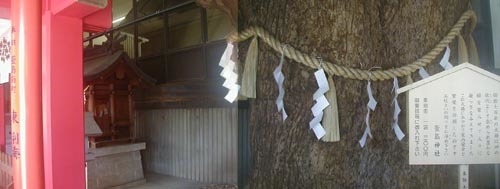 ●神社の造形―萱島神社、その2_d0053294_22391790.jpg