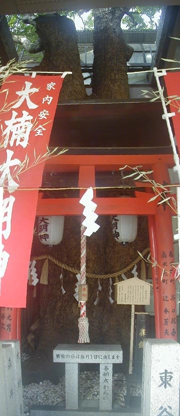 ●神社の造形―萱島神社、その2_d0053294_22393743.jpg