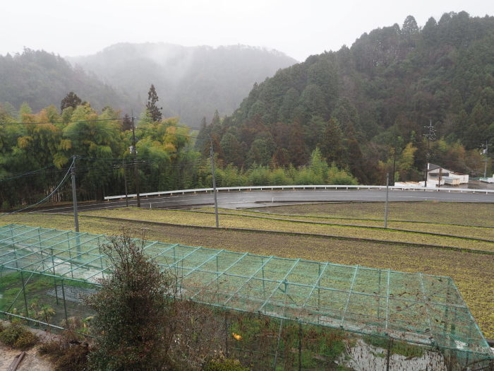 雨の一日_c0116915_23025535.jpg