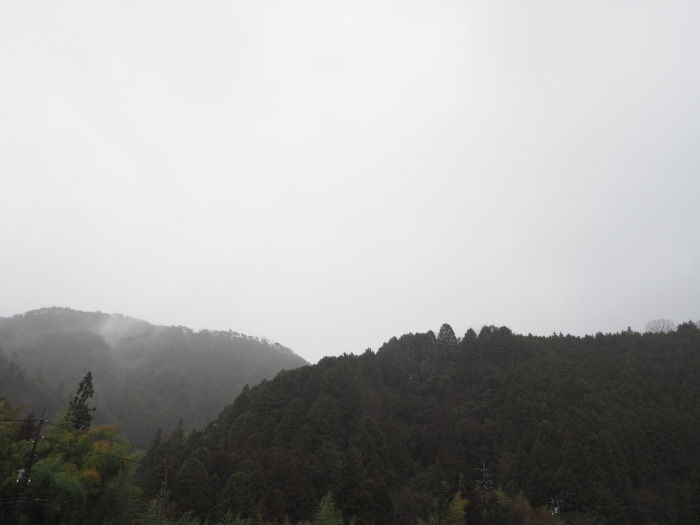雨の一日_c0116915_23034044.jpg