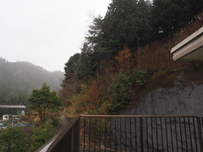 雨の一日_c0116915_23035321.jpg