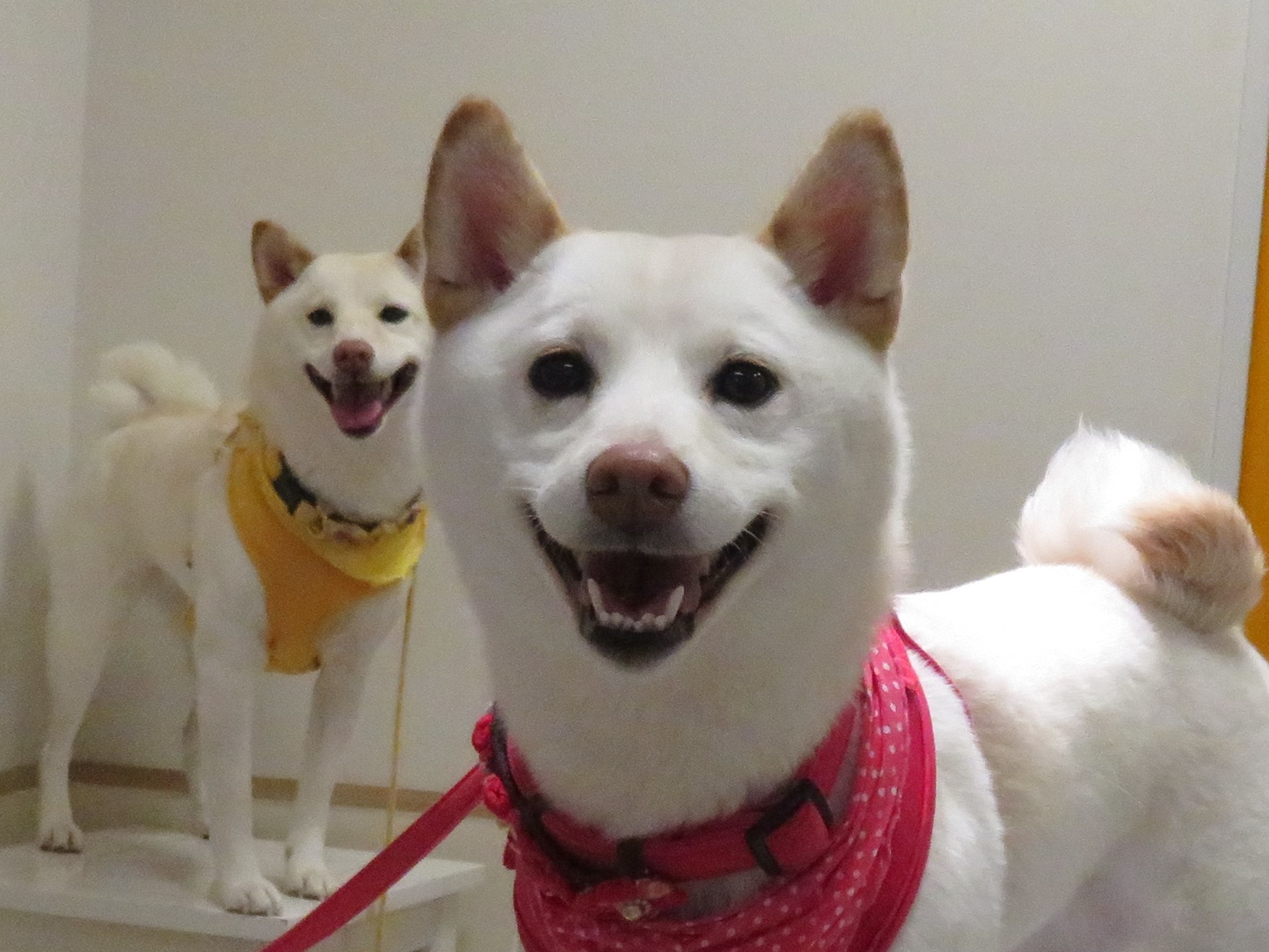 3月 18日の写真_c0174644_18371392.jpg