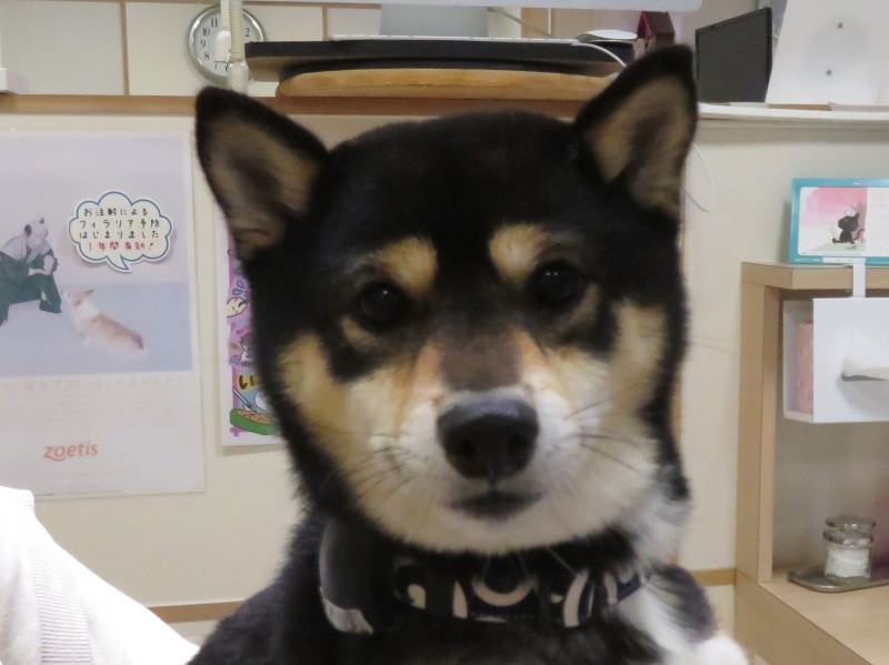 3月 18日の写真_c0174644_18371411.jpg