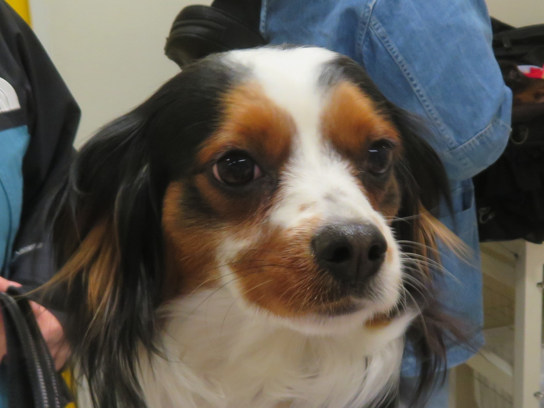 3月 18日の写真_c0174644_18371588.jpg