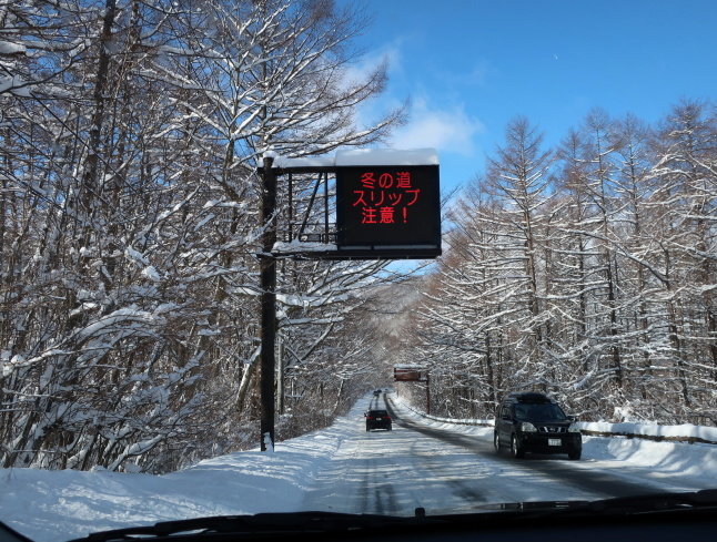 南軽井沢の雪景色 ＊ 今シーズン一番積もった日をふり返り♪_f0236260_17440001.jpg