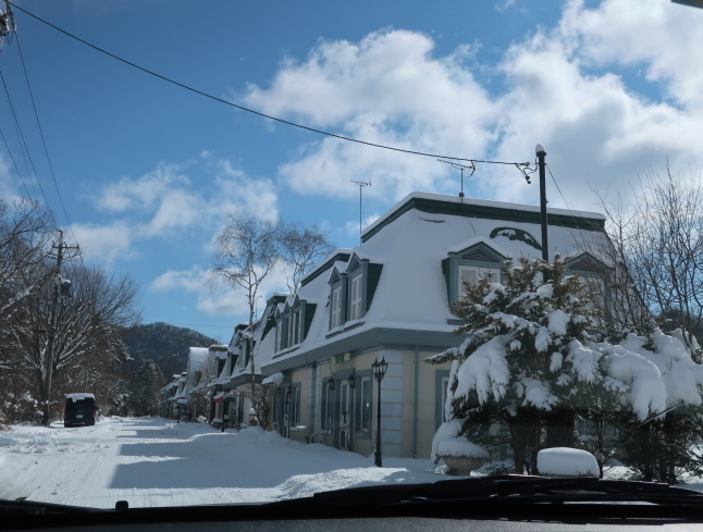 南軽井沢の雪景色 * 今シーズン一番積もった日をふり返り♪_f0236260_17444789.jpg