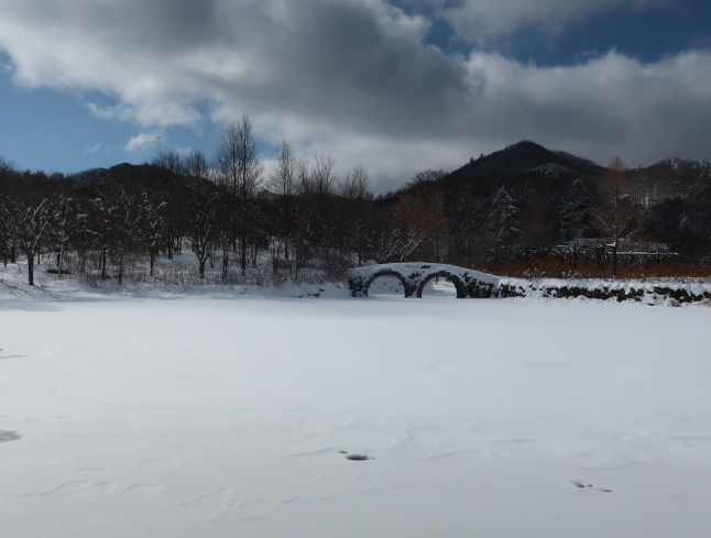 南軽井沢の雪景色 * 今シーズン一番積もった日をふり返り♪_f0236260_17471595.jpg