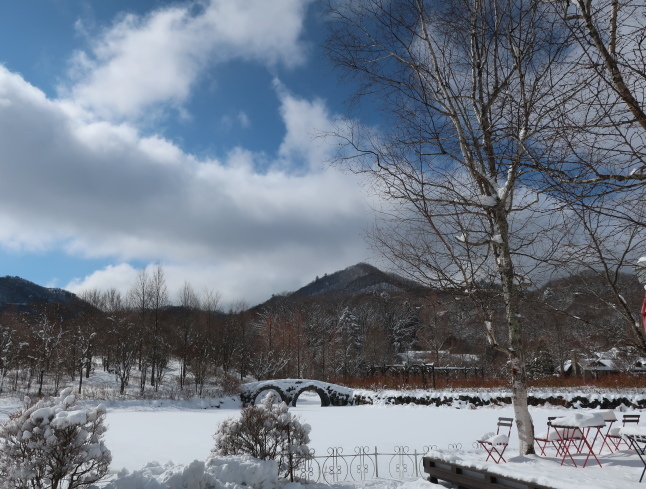 南軽井沢の雪景色 * 今シーズン一番積もった日をふり返り♪_f0236260_17480789.jpg