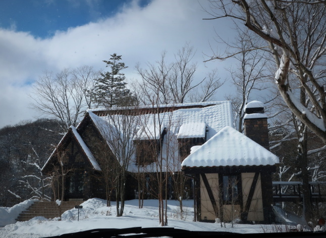 南軽井沢の雪景色 * 今シーズン一番積もった日をふり返り♪_f0236260_17485134.jpg