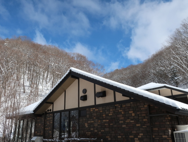 南軽井沢の雪景色 ＊ 今シーズン一番積もった日をふり返り♪_f0236260_17494802.jpg
