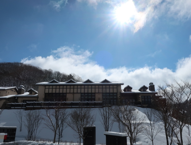 南軽井沢の雪景色 * 今シーズン一番積もった日をふり返り♪_f0236260_17502045.jpg
