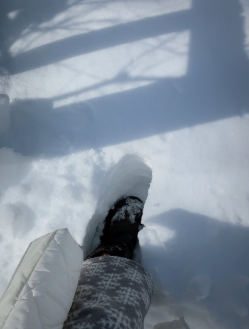 南軽井沢の雪景色 * 今シーズン一番積もった日をふり返り♪_f0236260_17515565.jpg