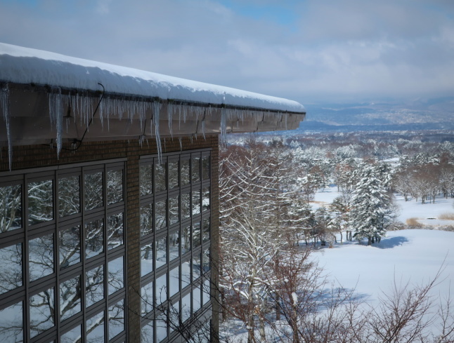 南軽井沢の雪景色 * 今シーズン一番積もった日をふり返り♪_f0236260_17594059.jpg