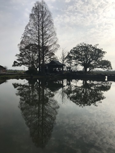 水彩画　佐賀　縫ノ池_f0176370_17041716.jpeg