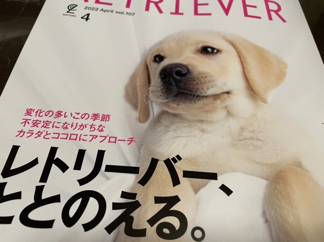 ３連休を迎える！_a0394574_23135709.jpeg