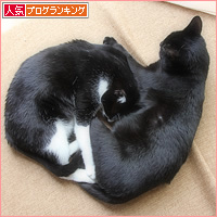 全一・・・ひとまとまりになって_a0389088_13120930.jpg