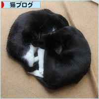 全一・・・ひとまとまりになって_a0389088_13120972.jpg