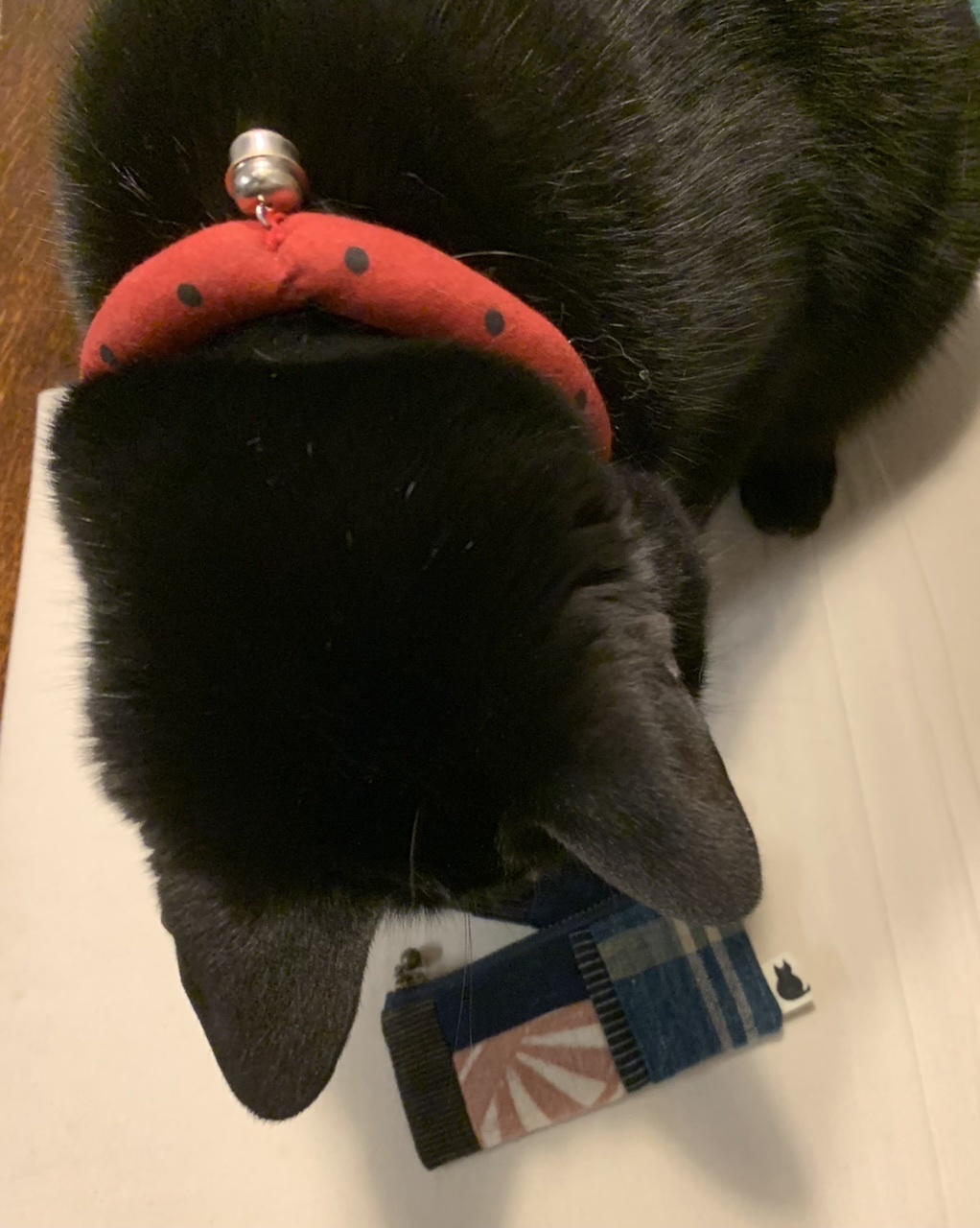 落としものです_e0358096_19450869.jpeg