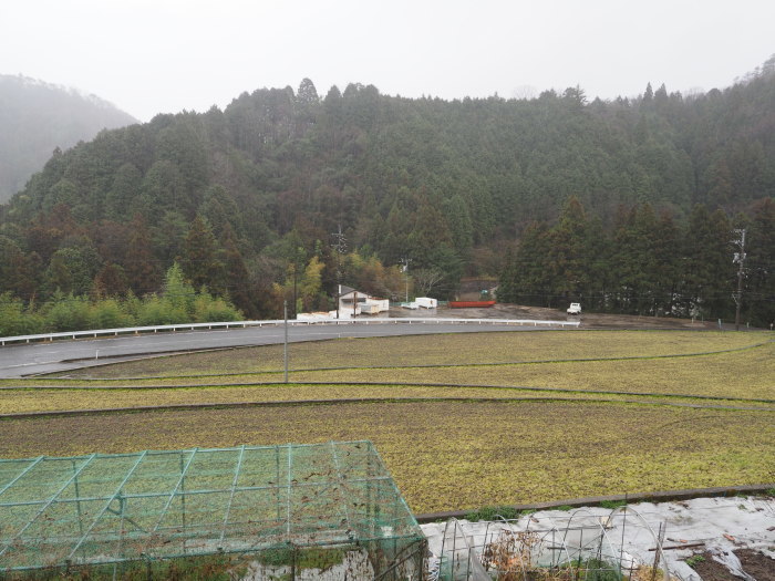 曇りのち雨のち時に日が射し_c0116915_23123975.jpg