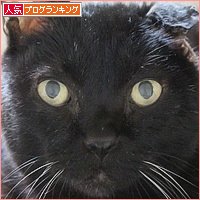 ここまで、きたよ_a0389088_17160104.jpg