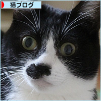 ここまで、きたよ_a0389088_17160164.jpg