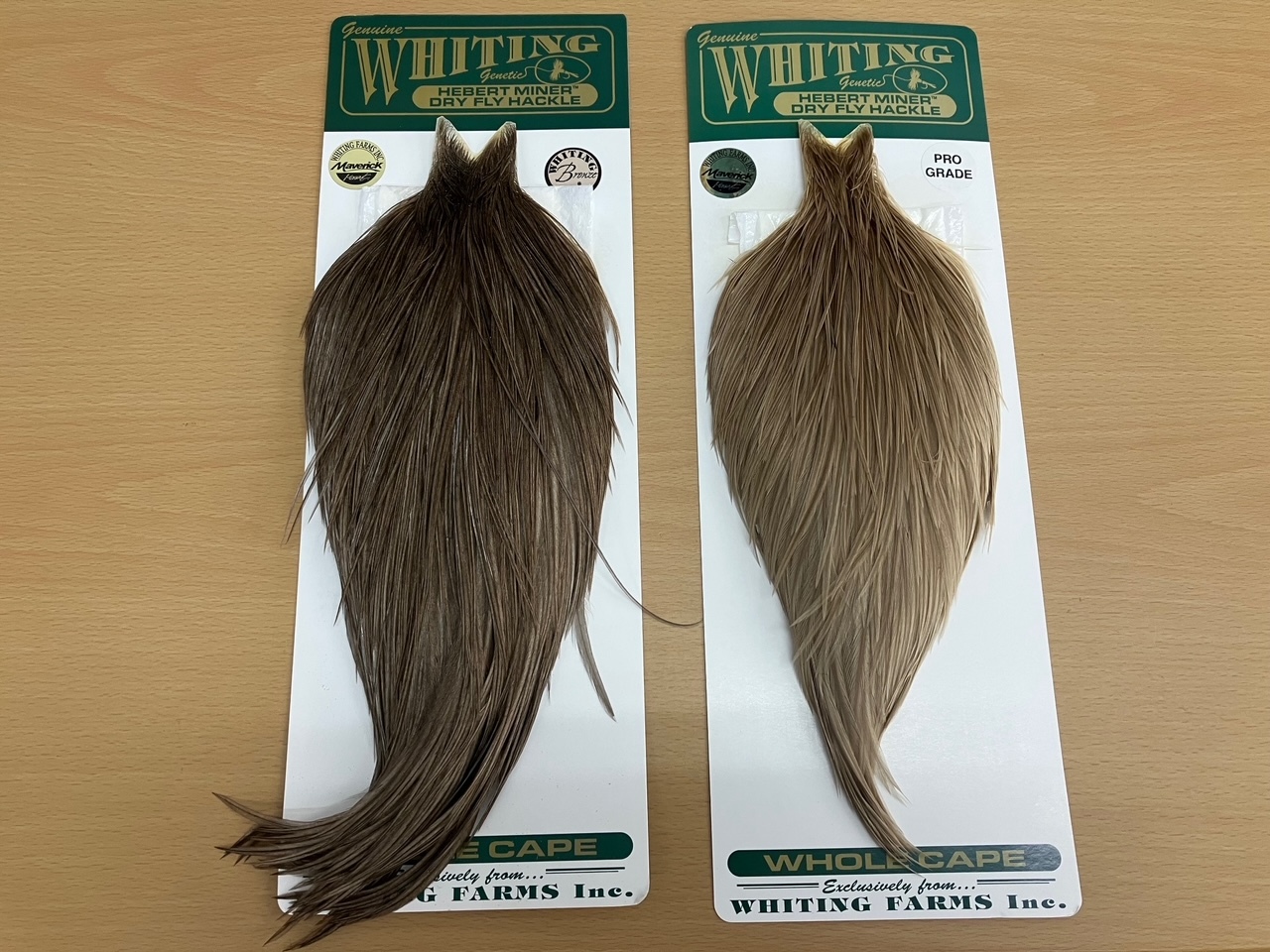 Whiting | Whiting | マーヴェリック / Maverick