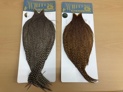 ホワイティング ハックル グリズリー 限定ハックル