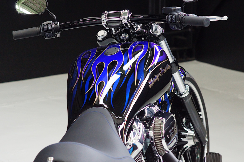 FXBRS ブレイクアウト純正フロントステップステー リヤフットブレーキ