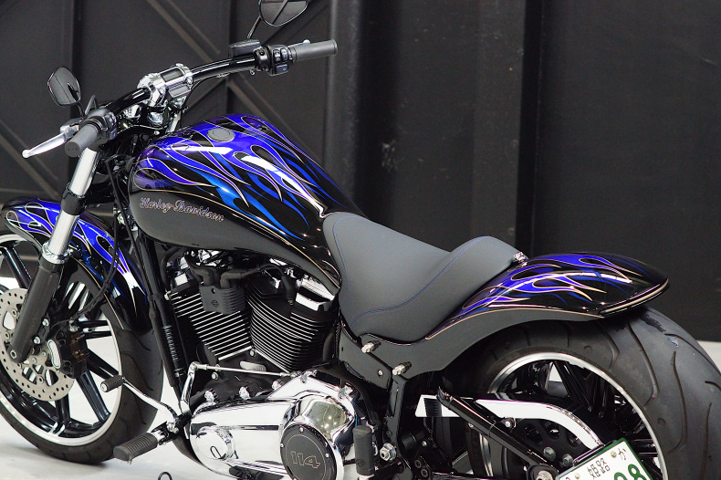 Darth AK様専用 FXBRS ブレイクアウト ライダー用フットペグのみ 『5年