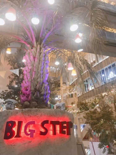 アメ村！BIGSTEPのお洒落な植物たち_b0212911_22500718.jpeg