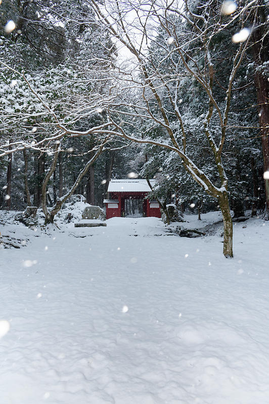 2022年滋賀県の雪景色@湖東 百済寺_f0032011_18213201.jpg
