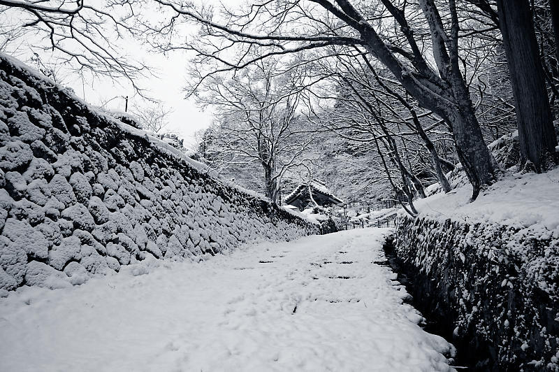 2022年滋賀県の雪景色@湖東 百済寺_f0032011_18213250.jpg