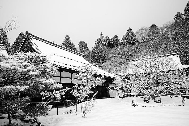 2022年滋賀県の雪景色@湖東 百済寺_f0032011_18213356.jpg
