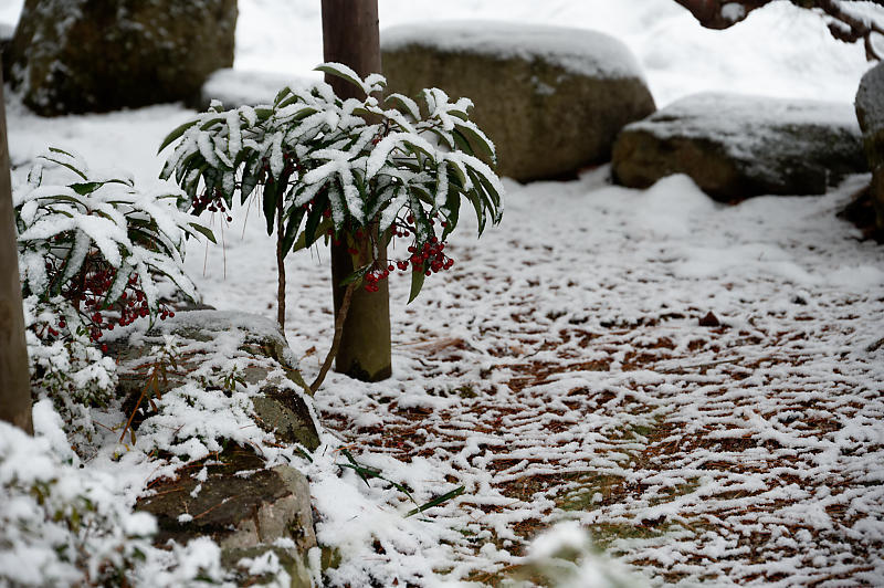 2022年滋賀県の雪景色@湖東 百済寺_f0032011_18213382.jpg