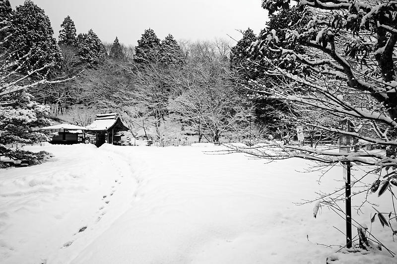 2022年滋賀県の雪景色@湖東 百済寺_f0032011_18213387.jpg