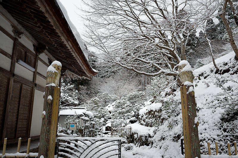 2022年滋賀県の雪景色@湖東 百済寺_f0032011_18213431.jpg