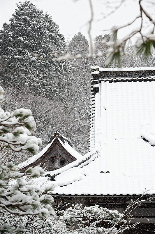 2022年滋賀県の雪景色@湖東 百済寺_f0032011_18240061.jpg