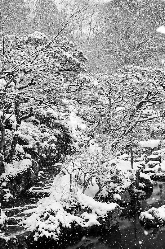 2022年滋賀県の雪景色@湖東 百済寺_f0032011_18240069.jpg