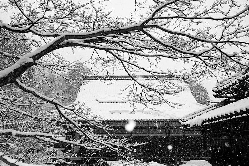 2022年滋賀県の雪景色@湖東 百済寺_f0032011_18240083.jpg