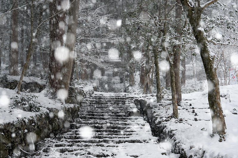 2022年滋賀県の雪景色@湖東 百済寺_f0032011_18262416.jpg