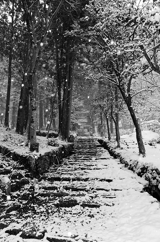 2022年滋賀県の雪景色@湖東 百済寺_f0032011_18262434.jpg