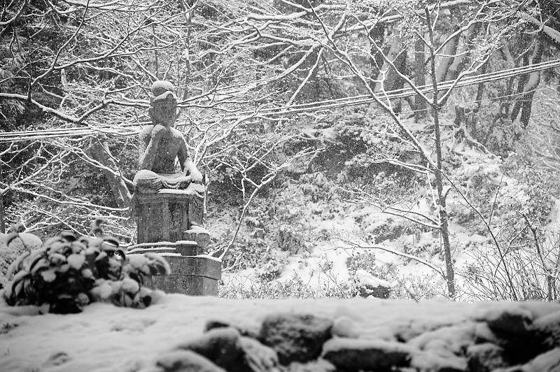 2022年滋賀県の雪景色@湖東 百済寺_f0032011_18262492.jpg