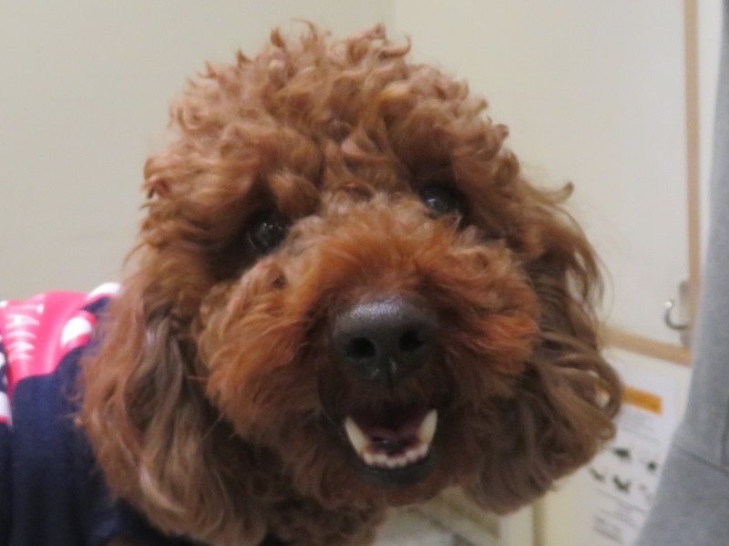 3 月 20 日の写真_c0174644_12531822.jpg