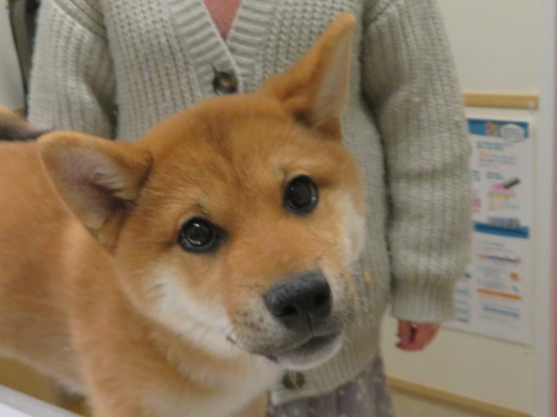 3 月 20 日の写真_c0174644_12531829.jpg