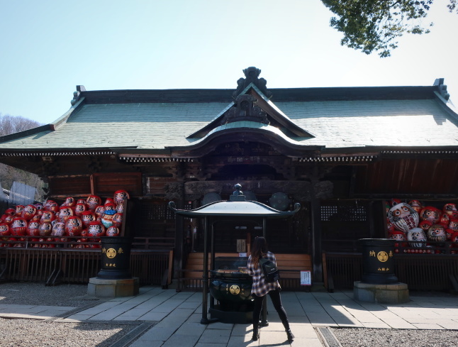 少林山 達磨寺 ＊ ふわふわミモザが見頃に♪_f0236260_23542831.jpg